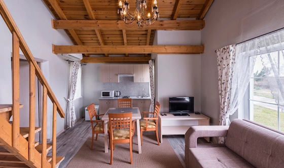 Фото №2 зала Альпийские дома "Северный поселок"