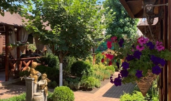 Фото №3 зала Летняя веранда