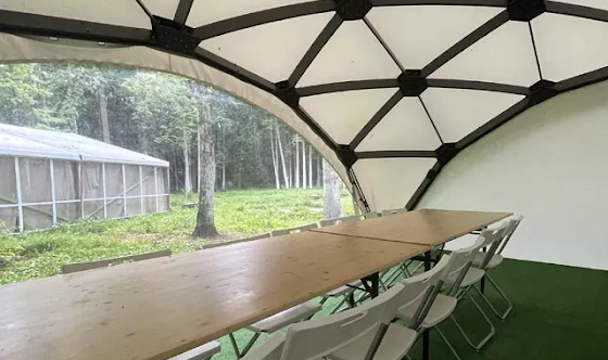 Фото №12 зала Геокуполы