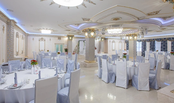 Фото №8 зала Зал «Серебряный»