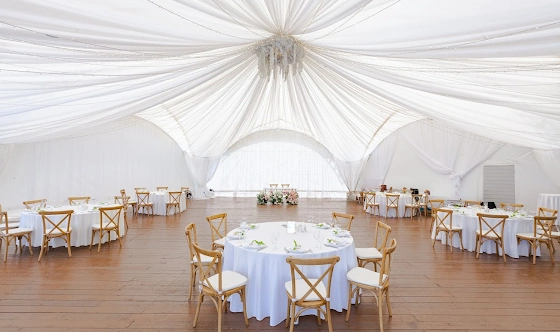 Фото №13 зала Сосновый бор