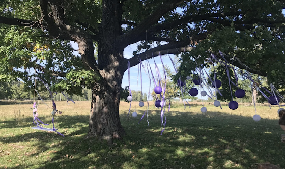 Фото №14 зала Терраса