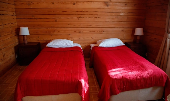 Фото №9 зала Альпийские дома "Центральный поселок"