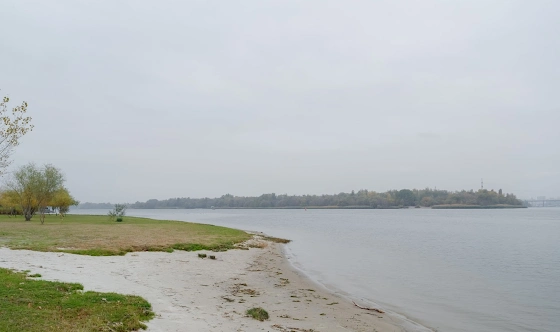 Фото №13 зала Зал "Сад"