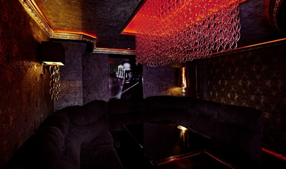 Фото №5 зала Зал «Концертный»