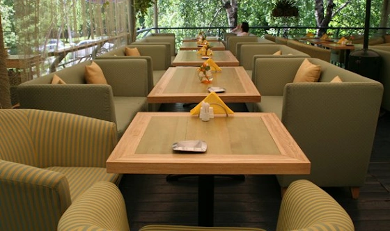 Фото №6 зала Летняя веранда