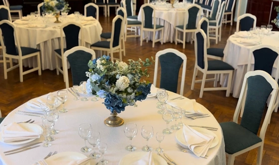 Фото №2 зала Зал "Голубая гостиная" 