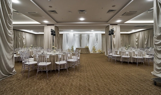 Фото №17 зала Зал «Губернаторский»