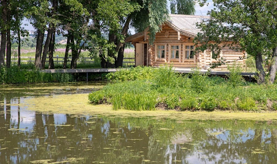 Фото №7 зала Беседки «Боярская»