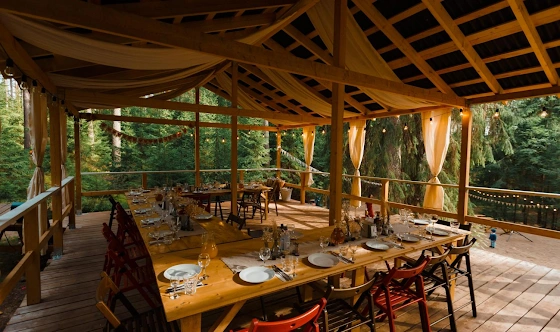 Фото №1 зала Веранда