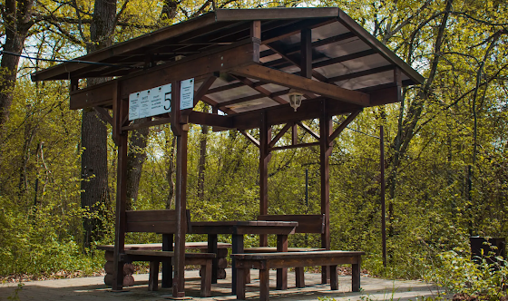 Фото №5 зала Беседки (8 штук)