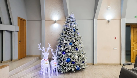 Фото №5 зала Зал «Академический»