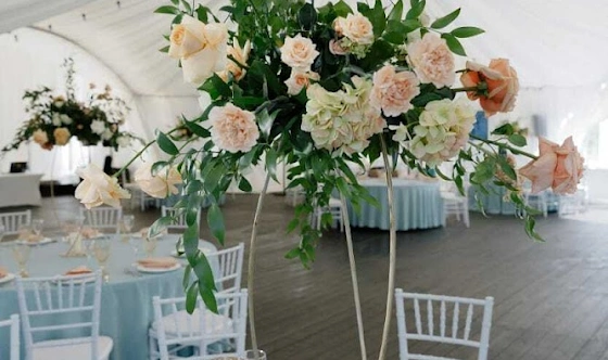 Фото №6 зала Малый шатер