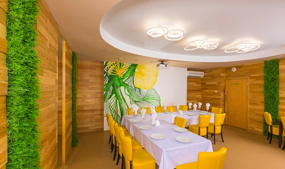 Фото №2 зала VIP-зал