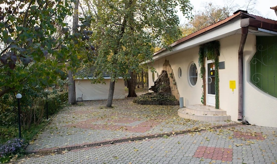 Фото №15 зала Основной зал