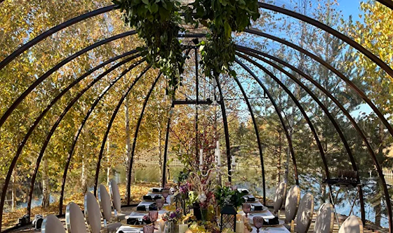 Фото №2 зала Беседка "Купольная"