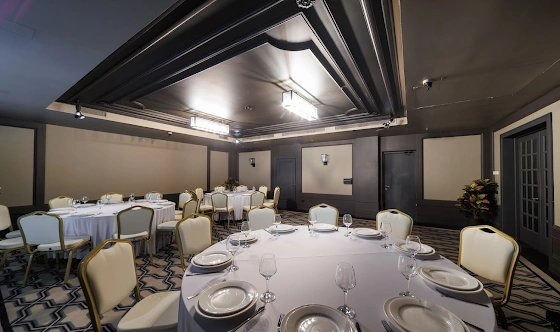 Фото №11 зала VIP-зал