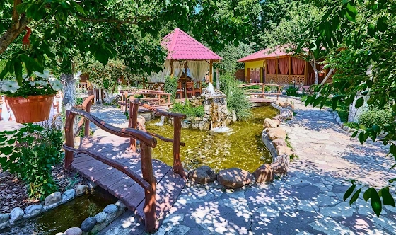 Фото №9 зала Летняя терраса