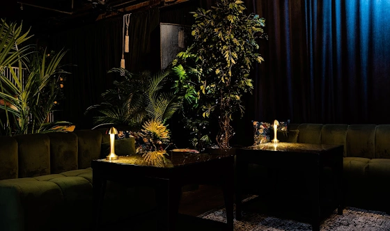 Фото №8 зала Monkey Lounge & Bar