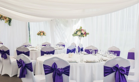 Фото №17 зала Шатер Sky