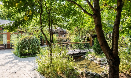 Фото №13 зала Домики на 15 человек