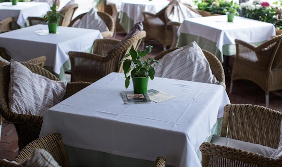 Фото №11 зала Летняя веранда