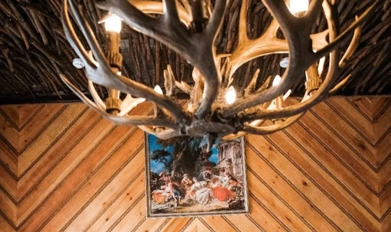 Фото №3 зала VIP зал №1