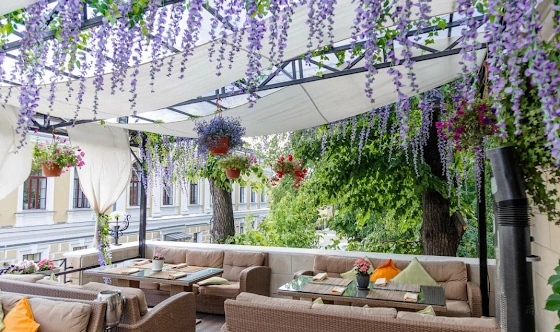 Фото №10 зала Основная веранда