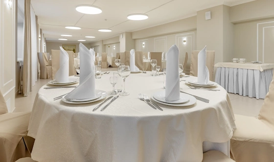 Фото №17 зала Зал «Виола»