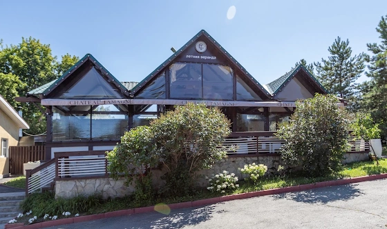 Фото №17 зала Летний ресторан Château Tamagne