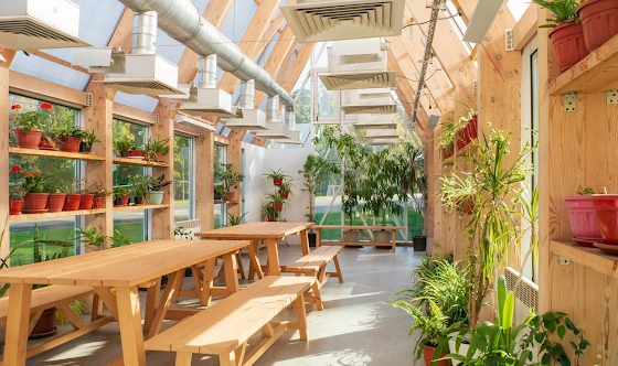 Фото №18 зала Левая и правая оранжерея 