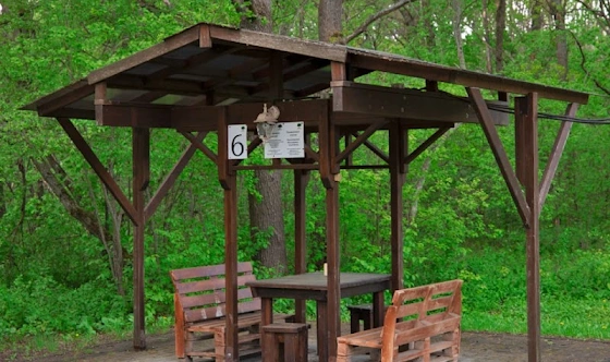 Фото №12 зала Беседки 