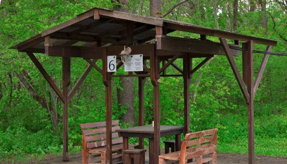 Фото №12 зала Беседки 