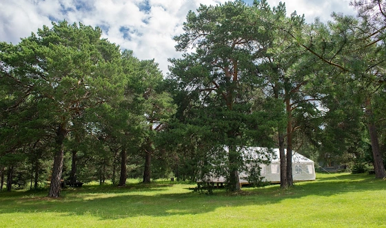 Фото №15 зала Шатер