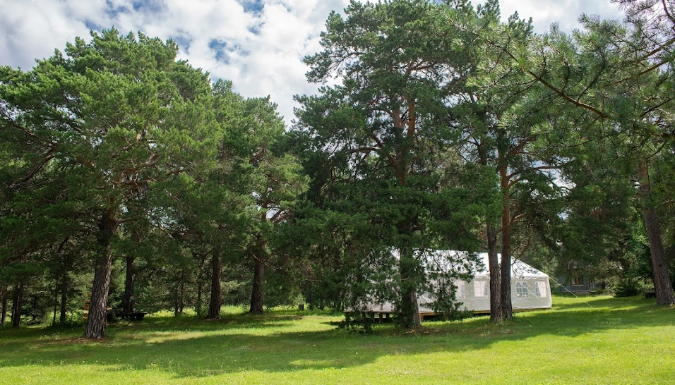 Фото №15 зала Шатер