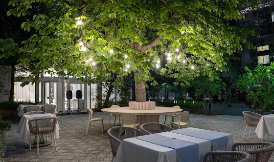 Фото №16 зала Летняя веранда 