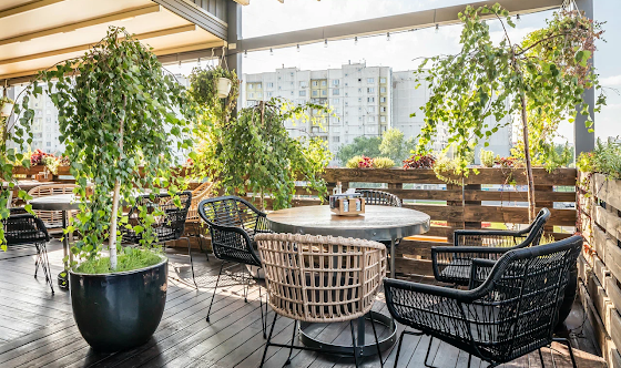 Фото №1 зала Летняя веранда 