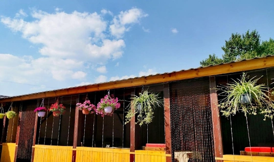 Фото №1 зала Веранда