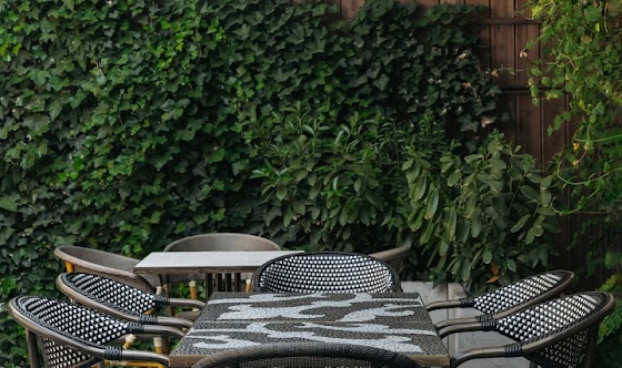 Фото №15 зала Летняя веранда