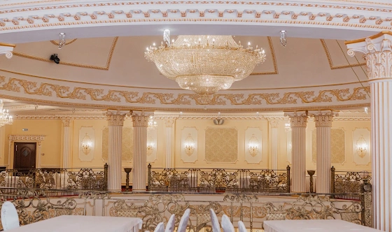 Фото №12 зала Зал "Центральный"