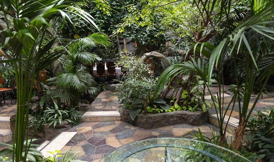 Фото №16 зала Зал «Зимний сад»