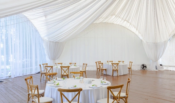 Фото №11 зала Сосновый бор