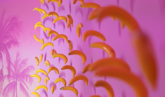 Фото №4 зала Mr.Flamingo