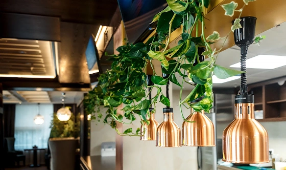 Фото №3 зала Основной зал