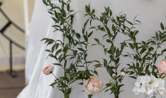 Фото №6 зала Летний шатер