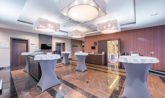 Фото №8 зала Зал «Европа»