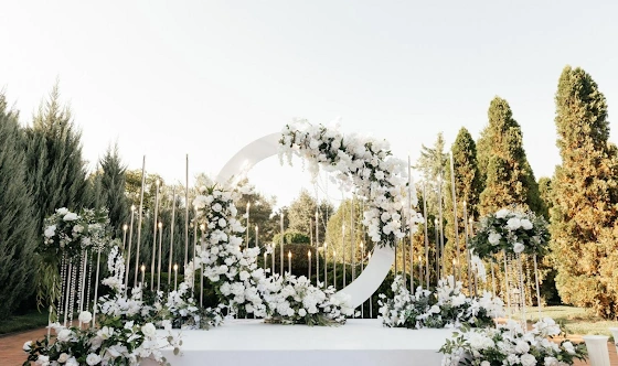 Фото №14 зала Банкетный зал «Виноград»