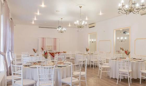 Фото №19 зала Большой банкетный зал 