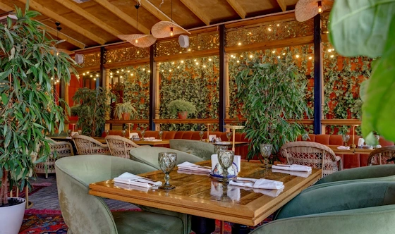 Фото №5 зала Летняя веранда