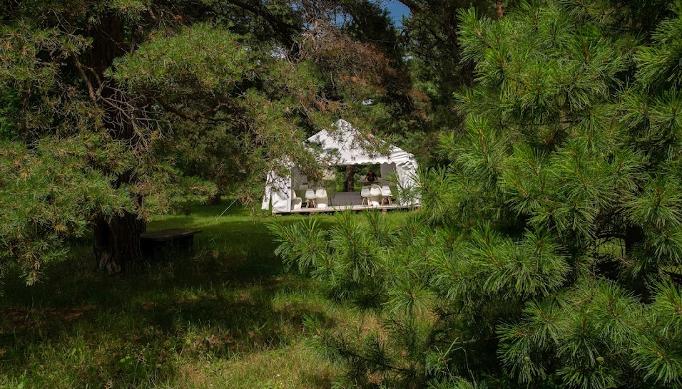 Фото №17 зала Шатер